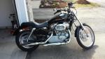 2006 Harley Davdison Sportster XL883C **Excellent Condition!!**
